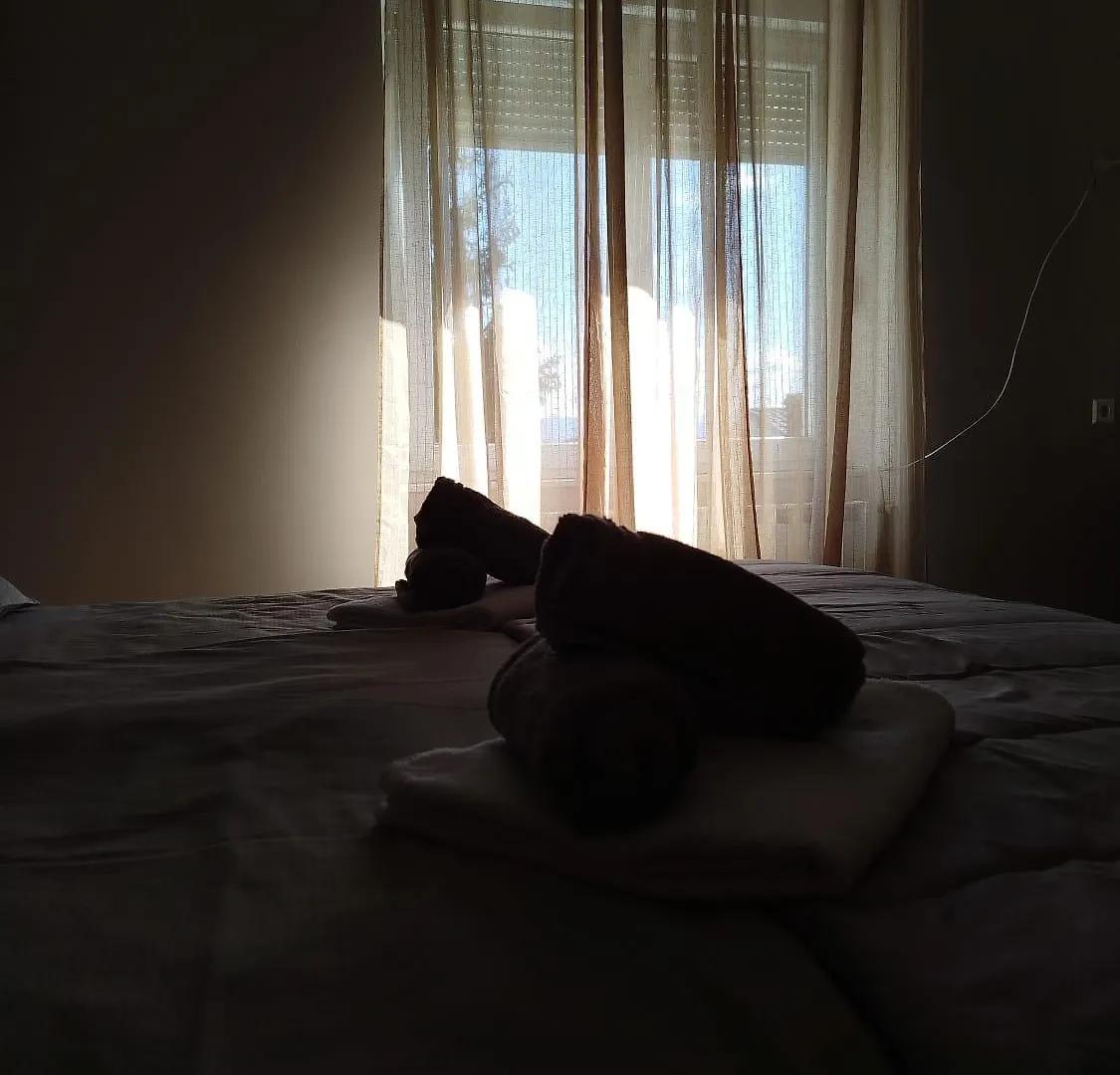Francici Apartment Opatija Croatia